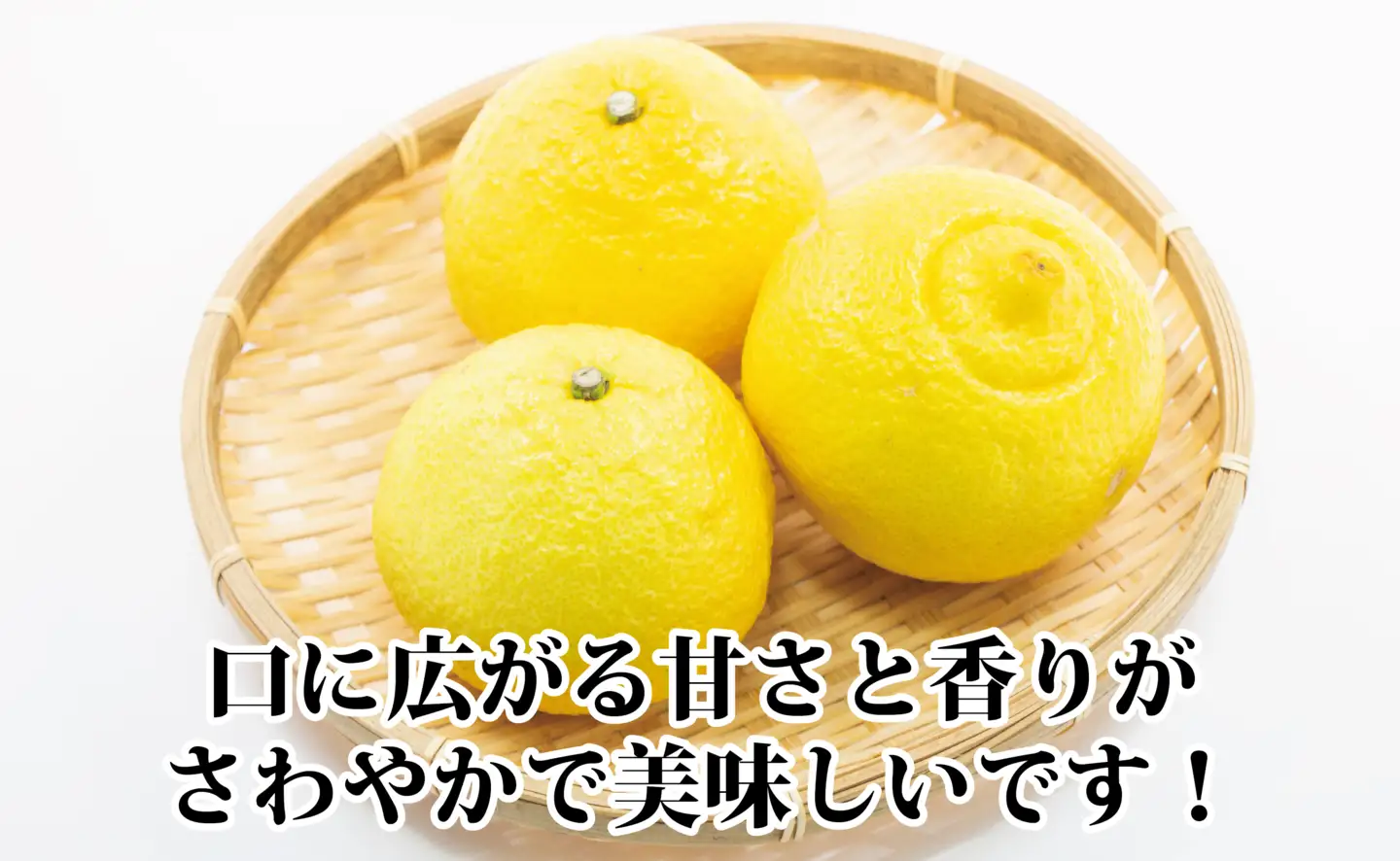 2027年2月発送開始　ジューシーな甘さ!「はるか」約5キロ　【C39-7】【配送不可地域：離島】【1280653】 YWTF002