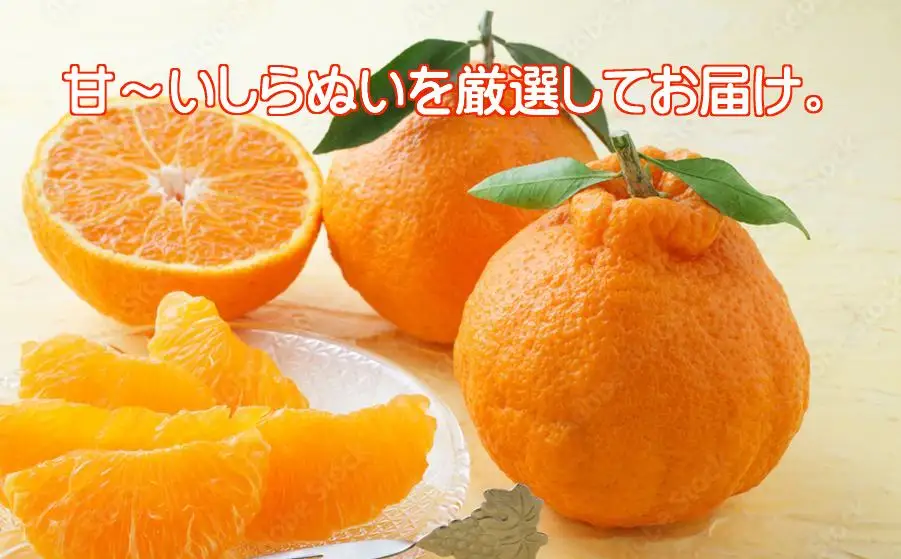 2027年2月～順次出荷　甘さと酸味の絶妙なバランス!はじける果肉「不知火」約5キロ【D39-73】【配送不可地域：離島】【1620478】 YWTF048