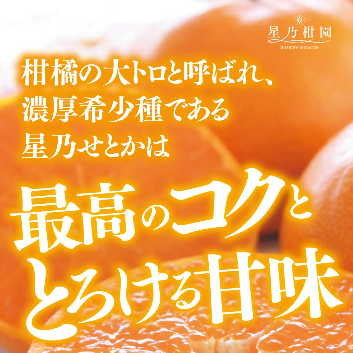 【三つ星ブランド】星乃せとか(3kg)【D45-93】【1625776】 YWTAZ055