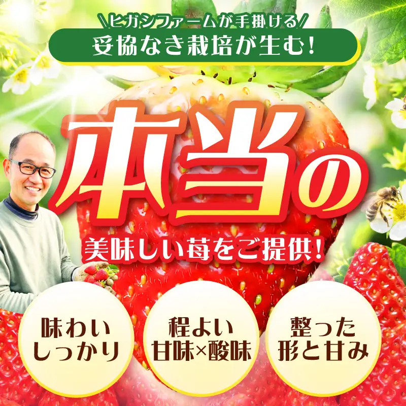 【見つけて、摘んで、食べて！】希少いちご「ほしうらら」を摘みに行こう いちご狩り 体験チケット（大人2名）【121D-001】