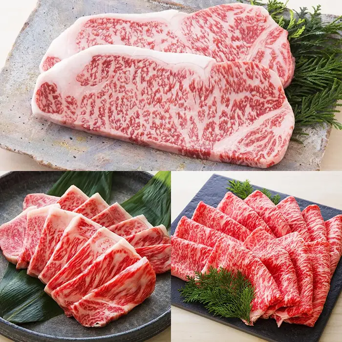 牛肉 6kg 詰合せ 鹿児島県産 黒毛和牛 牛肉【00-030-39】