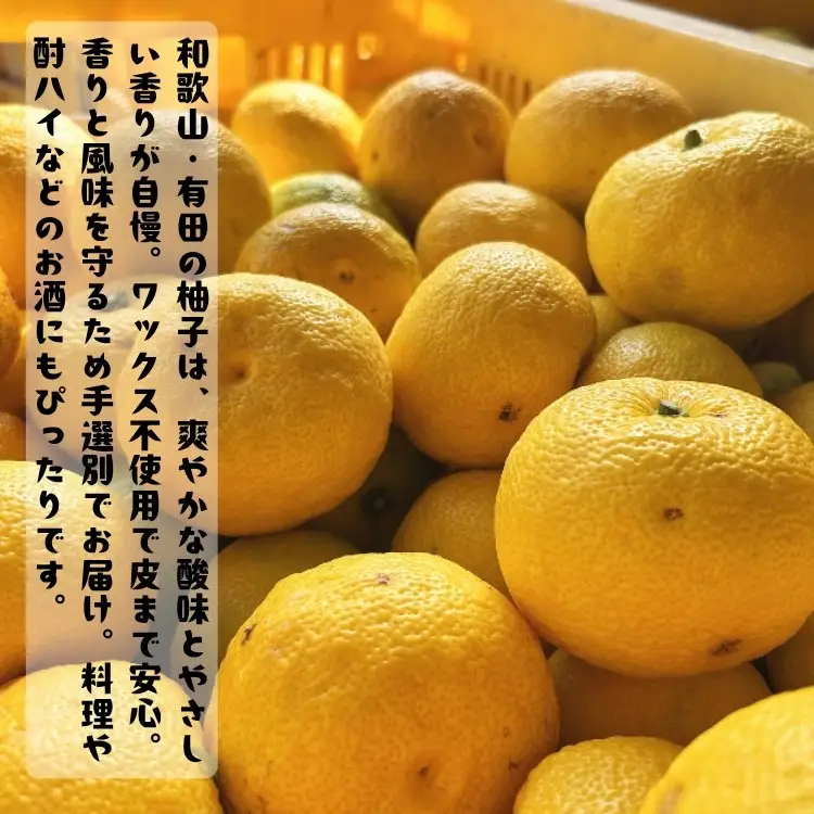 ［先行予約］［国産］紀州和歌山のご家庭用訳あり 柚子（ゆず）3kg ［MS139］
