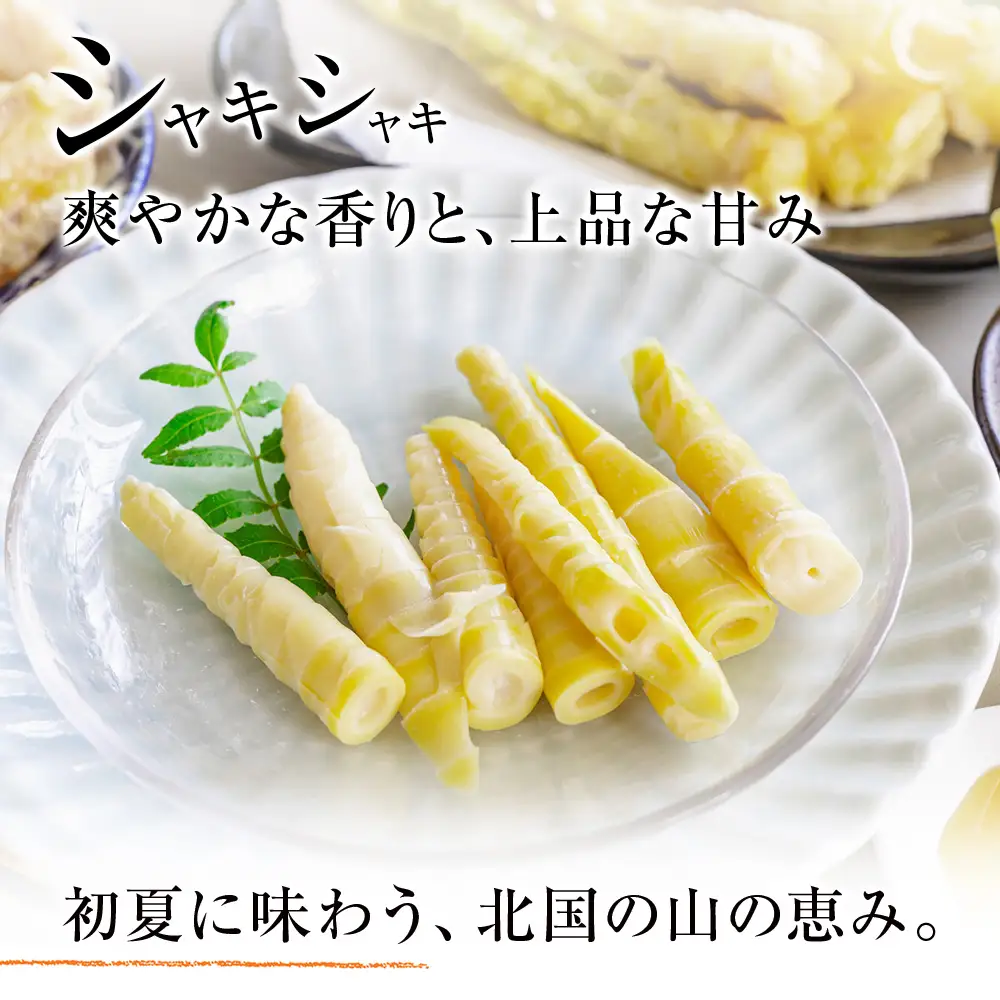 2027年発送予約】天然 根曲がり竹 1kg 根曲竹 ネマガリタケ 姫竹 笹竹