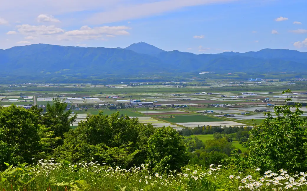 【定期便12回】北海道奈井江町　ななつぼし　5kg