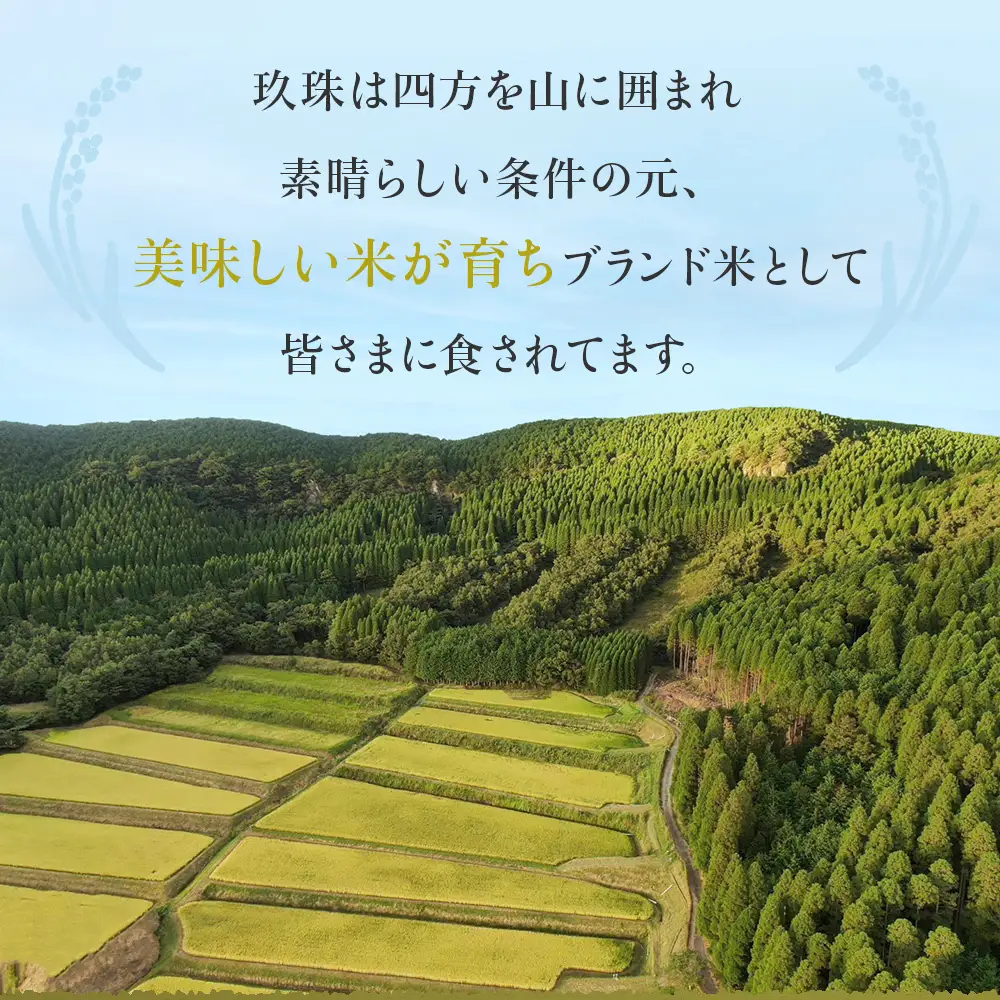 【令和7年産】湧水育ち ひとめぼれ 10kg 白米 米 お米 こめ コメ ヒトメボレ 玖珠産  ご飯 大分県 大分 玖珠町 玖珠