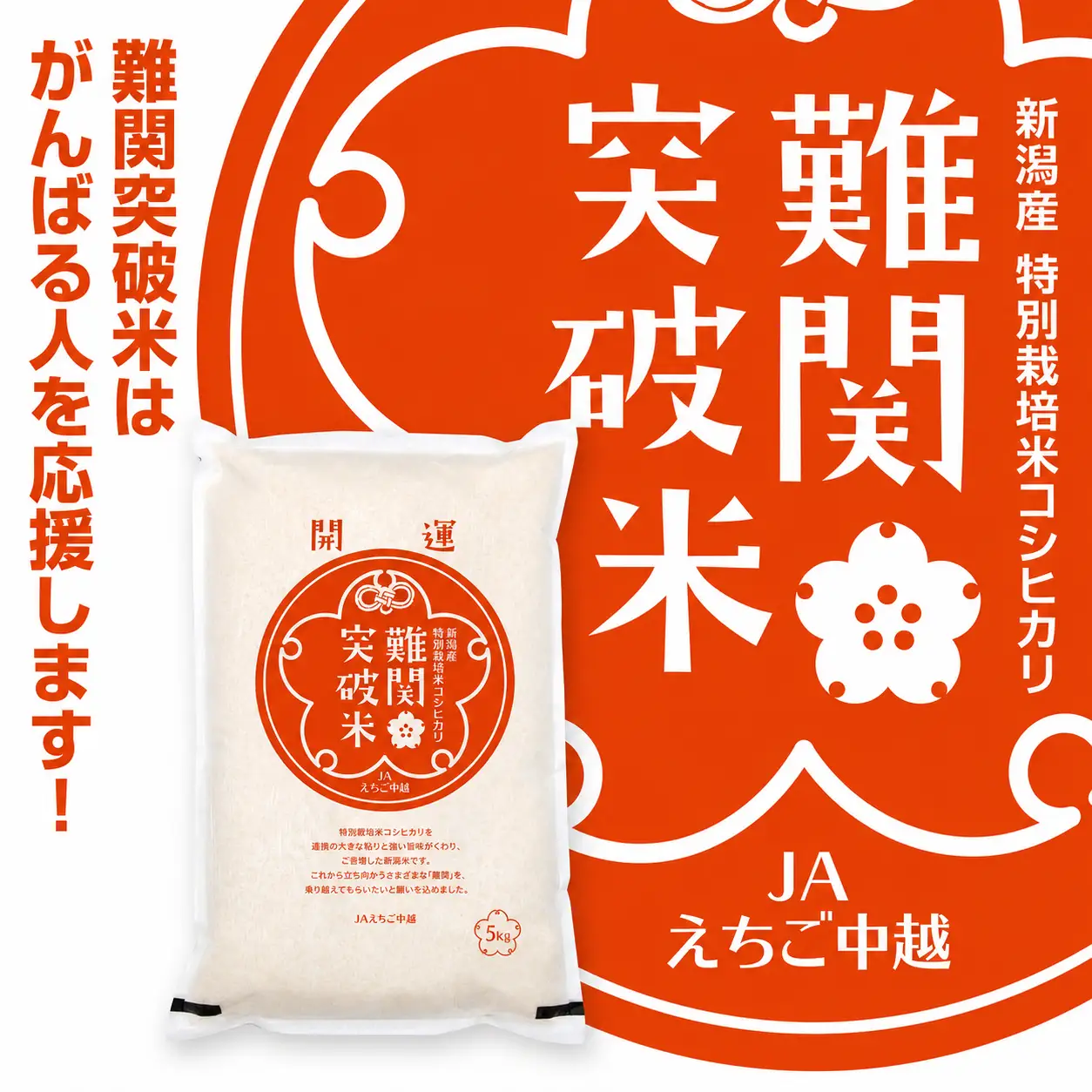 令和7年産新潟県産コシヒカリ 難関突破米 精米5kg なんかん米