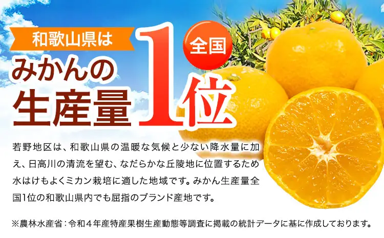 みかん ゆら早生みかん 約5kg