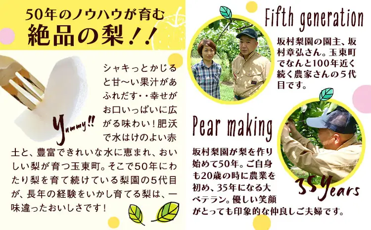 梨 なし 甘太梨 約5kg(5～18玉前後) 坂村梨園 《8月中旬-11月上旬頃出荷》熊本県 玉東町 秋 旬 梨 フルーツ 果物 期間限定