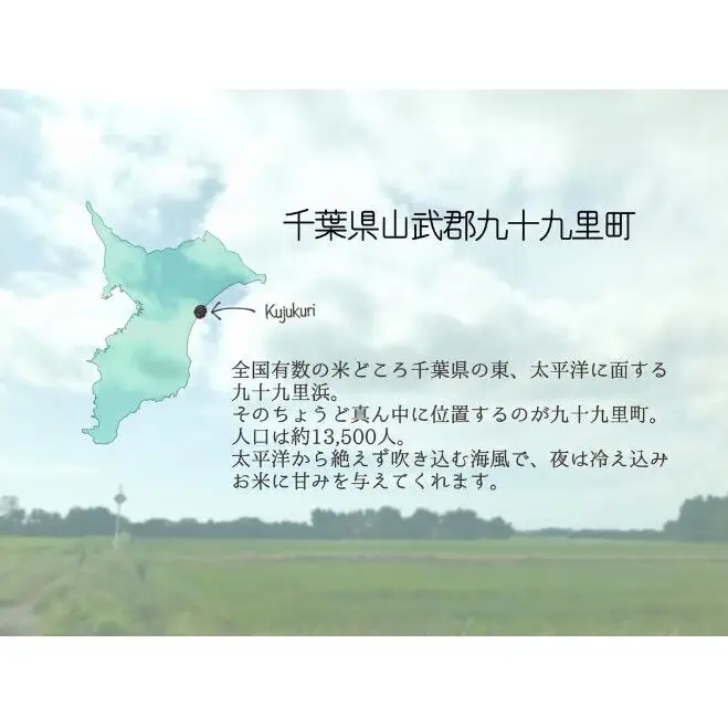 お米 千葉県産にじのきらめき5kg 米 コメ 精米 白米 人気 にじのきらめき もちもち 九十九里町 千葉県