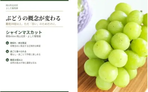 【2026年先行予約】 糖度18度以上！朝採れシャインマスカット 1.5kg (3房または4房) ぶどうの概念が変わる よしだ葡萄園の極上品【10月上旬～10月下旬頃に順次発送】 / ぶどう シャインマスカット 果物フルーツ 贈答品 贈り物 岡山県 真庭市【ysdb002】