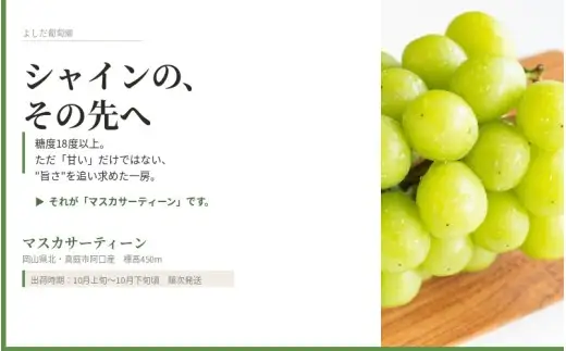 ① 【岡山県産】マスカサーティーン(葡萄)9〜10房 約5キロ マスカサーティーン 約1kg(2〜3房) ｜ 果物/ぶどう 産直アウル 農家