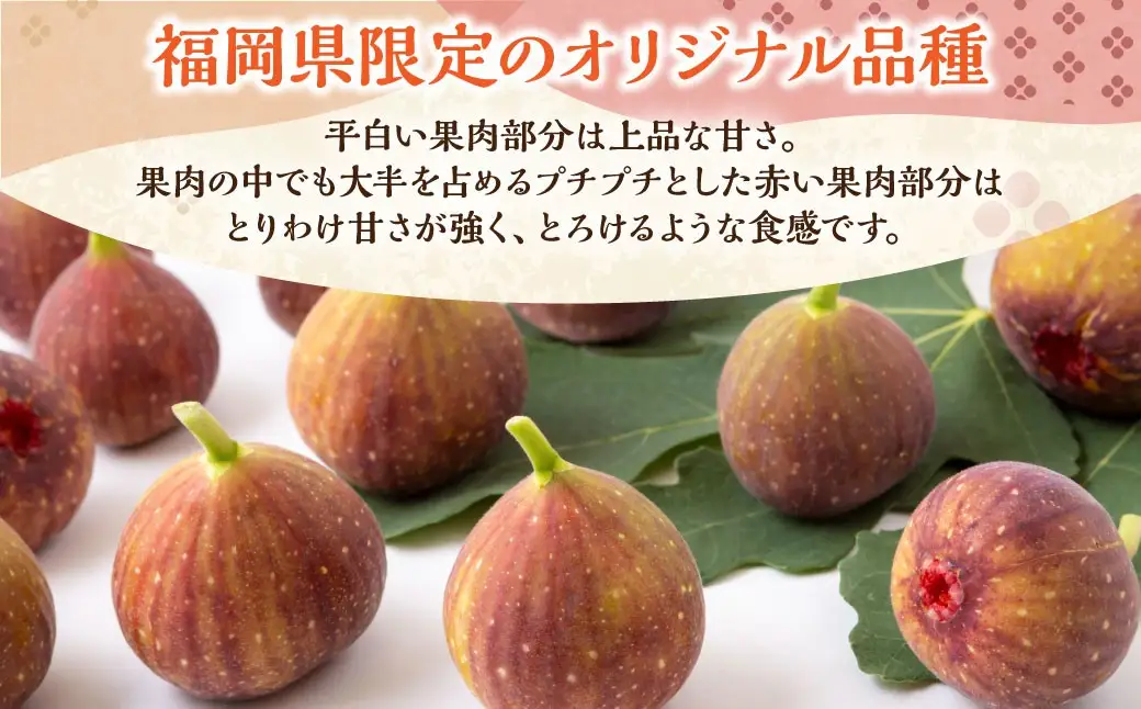 【先行予約】渡辺農園 いちじく (とよみつひめ) 2パック 【2026年8月上旬～2026年9月中旬 出荷予定】 フルーツ 果物 果実 常温 送料無料 福岡県 うきは市