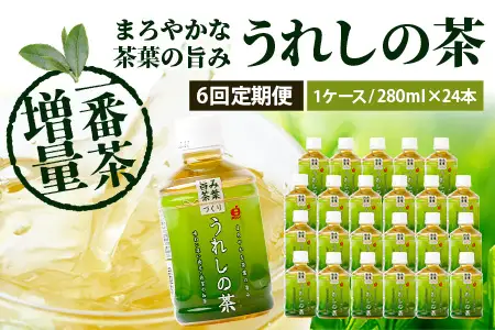 工場直送！うれしの茶 280ml×24本入 《6回 定期便》箱買い セット お茶 飲料 緑茶 飲み切りサイズ うれしの 嬉野茶 ペットボトル 24本入り 280ml ストック ギフト 贈り物 贈答 お中元 お歳暮 季節の変わり目 旬 備蓄 備え 佐賀県 鹿島市 H-56