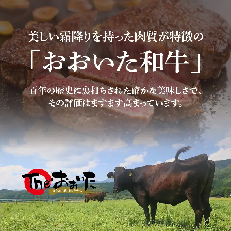【父の日ギフト】 百年の恵み おおいた和牛A5 ステーキ用厚切り【厳選部位】約600g ≪6月21日お届け≫ A01104-C