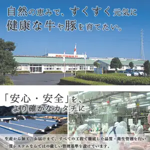 《数量限定》H-501 鹿児島黒牛カタロースセット(計900g・300g×3P) 国産 九州産 牛肉 黒毛和牛 和牛 国産牛 お肉 スライス すき焼き しゃぶしゃぶ 小分け 冷凍【湧水町JAあいら】_y597
