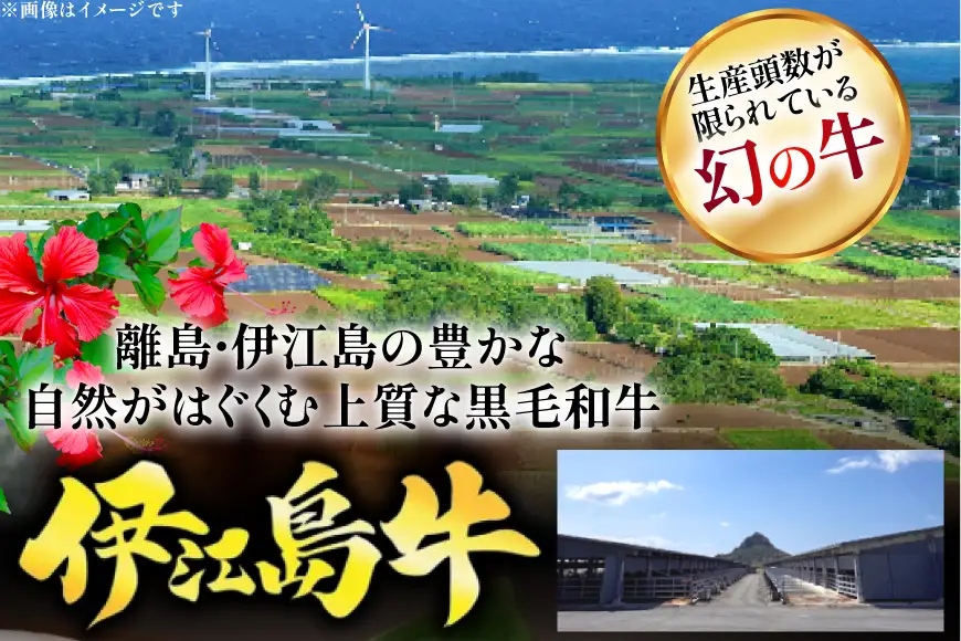 牛肉 伊江島牛 切り落とし 250g 2p 計500g [JAおきなわAコープ 沖縄県 伊江村 ie47bmw520001]