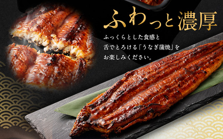 国産 うなぎ 蒲焼 1尾 （230g ～ 250g） と 特製タレ 1個 セット 鰻 ウナギ 蒲焼き うなぎ蒲焼 セイロ蒸し せいろ蒸し タレ付 冷凍 父の日