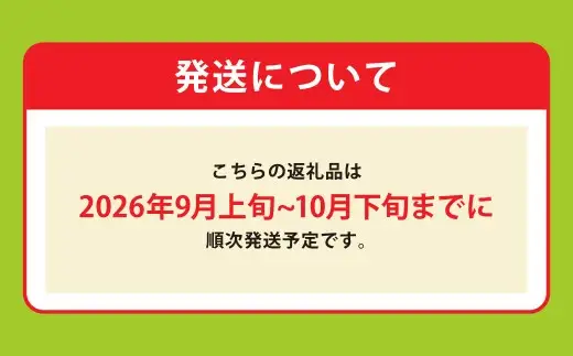 熊本名産！！顔が隠れる！?ジャンボ新高梨 5kg 国産 熊本県産 果物 くだもの フルーツ なし ナシ 梨 ジャンボ ジューシー 【2026年9月上旬発送開始】