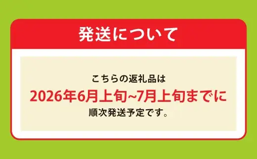 熊本県産 金色羅王スイカ 1玉 約7kg スイカ 西瓜 希少 黄金スイカ 国産 果物 くだもの フルーツ 【2026年6月上旬発送開始】