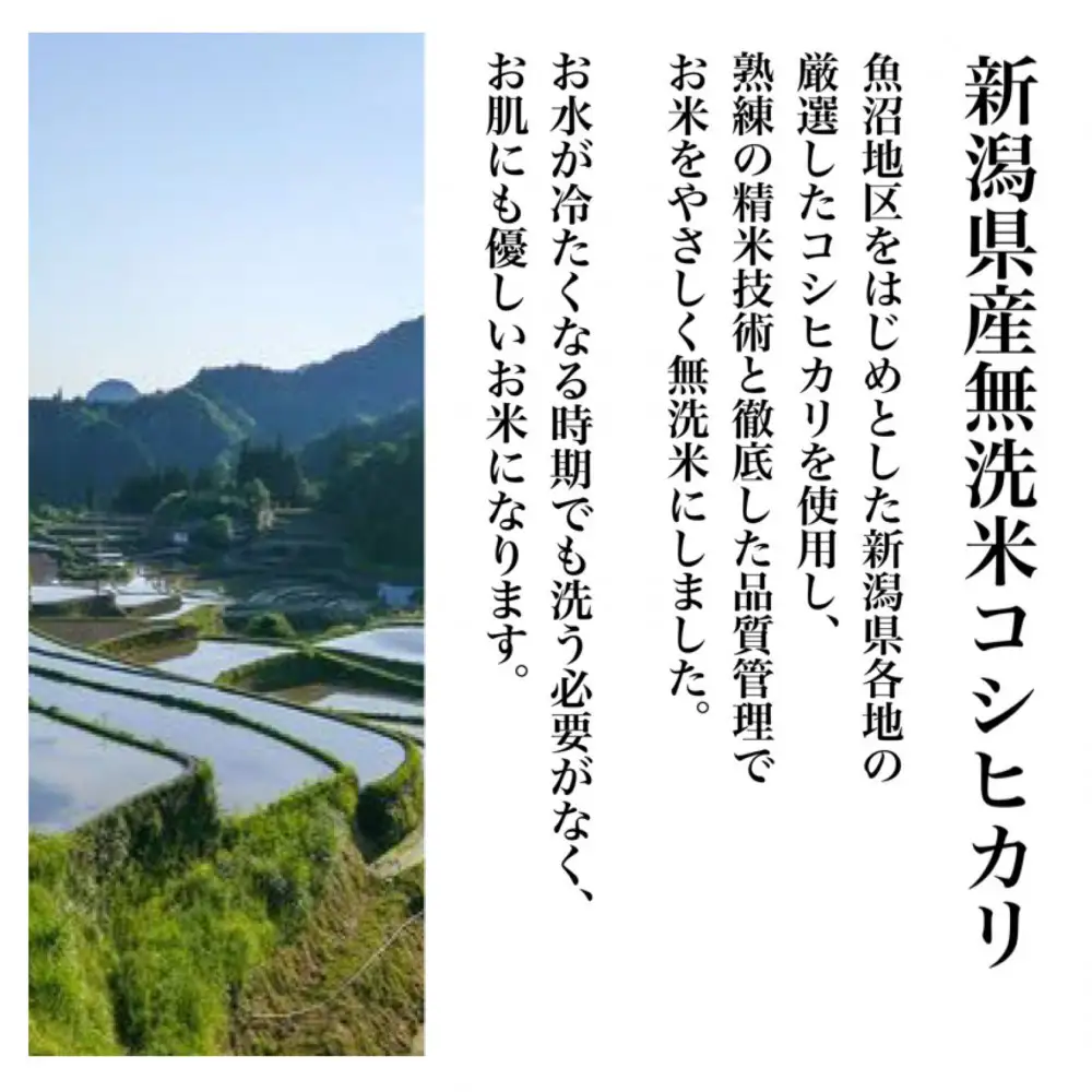 【令和8年産新米 定期便・先行予約】新潟県産こしひかり 無洗米 真空パック 900g×6袋　全3回