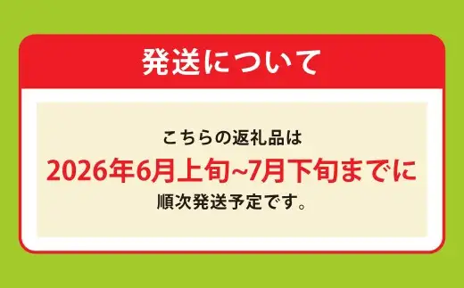 熊本県産 アールスメロン 2玉 2L以上 メロン 果肉 贅沢 国産 果物 くだもの フルーツ 【2026年6月上旬発送開始】