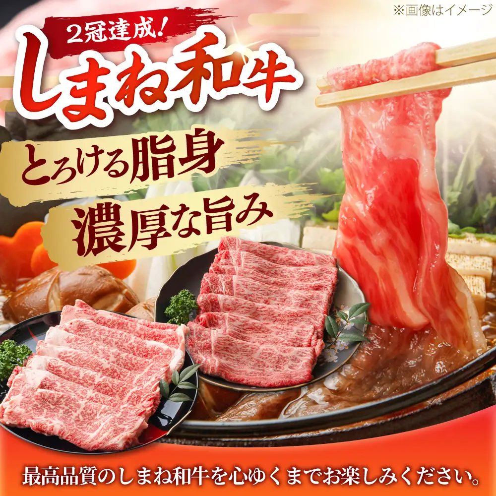 しまね和牛 2種のすき焼きセット（肩ロース500ｇ/モモ500ｇ）和牛 牛肉 赤身 すき焼き セット / 島根県雲南市 / フジキコーポレーション株式会社[AIEA009]