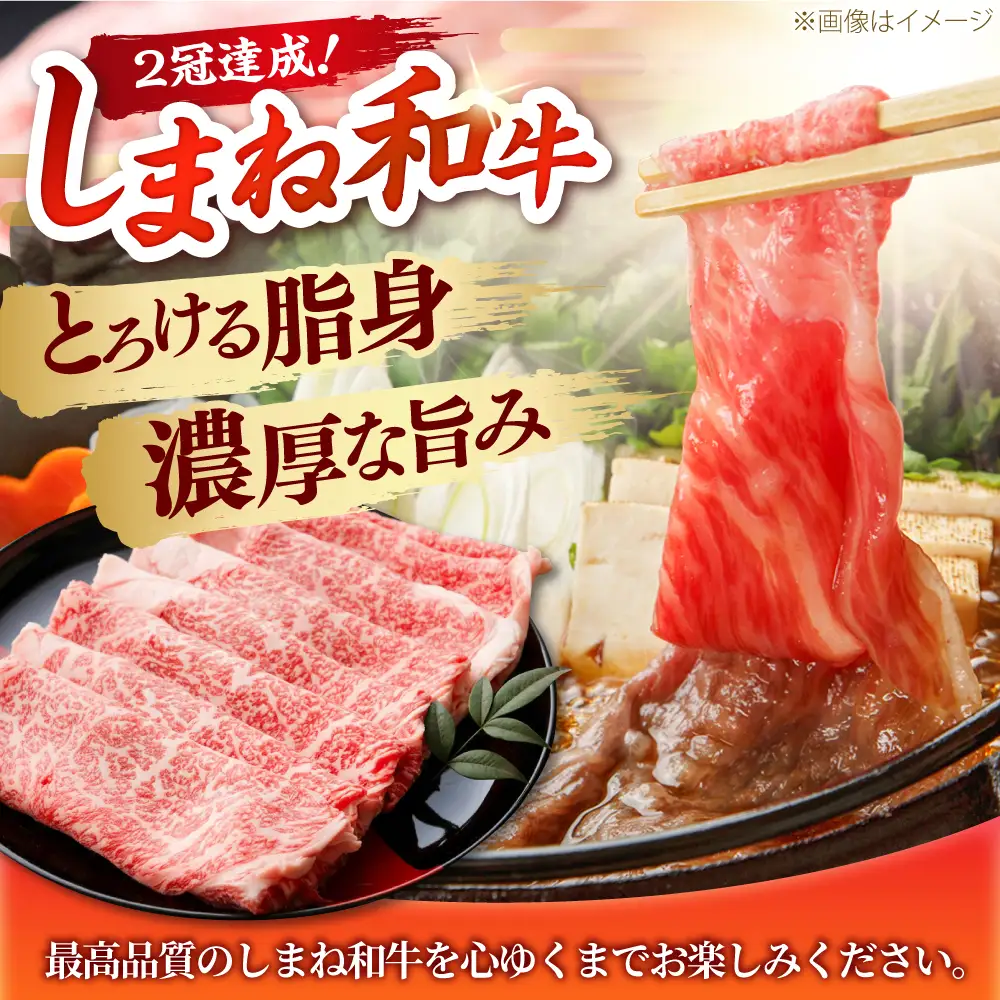【全2回定期便】島根和牛 おかず格上げコース 和牛 牛肉 定期便 肉 切り落とし ロース / 島根県雲南市 / フジキコーポレーション株式会社[AIEA012]