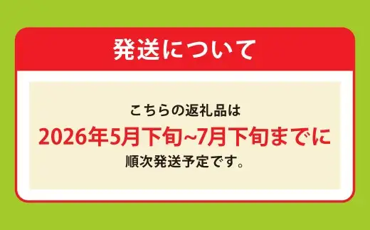 熊本県産肥後グリーン 2玉 3L以上 メロン 果肉 贅沢 国産 果物 くだもの フルーツ 【2026年5月下旬発送開始】