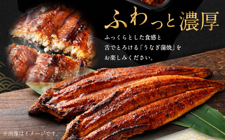 国産 うなぎ 蒲焼 3尾 （690g～750g）と 特製タレ 3個 セット 鰻 ウナギ 蒲焼き うなぎ蒲焼 セイロ蒸し せいろ蒸し タレ付 冷凍 父の日