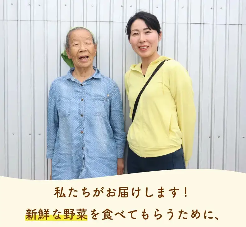 【朝採れ】定期便 6か月 野菜セット 6~7品目 以上 お野菜 季節 丸新柴本製茶 静岡 県 牧之原市