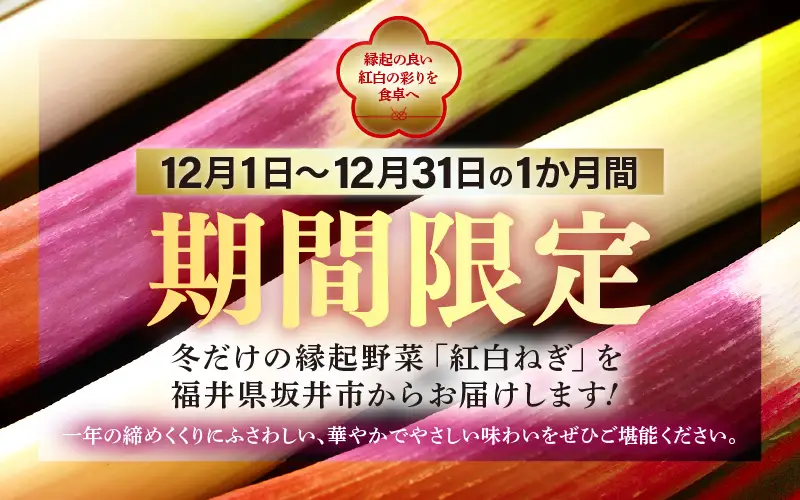 【先行予約】 期間限定 「紅白ねぎ」 紅ねぎと白ねぎ各1本 合計2本袋入り × 2袋 (合計4本) 【2026年12月上旬以降順次発送予定】 [A-2619]
