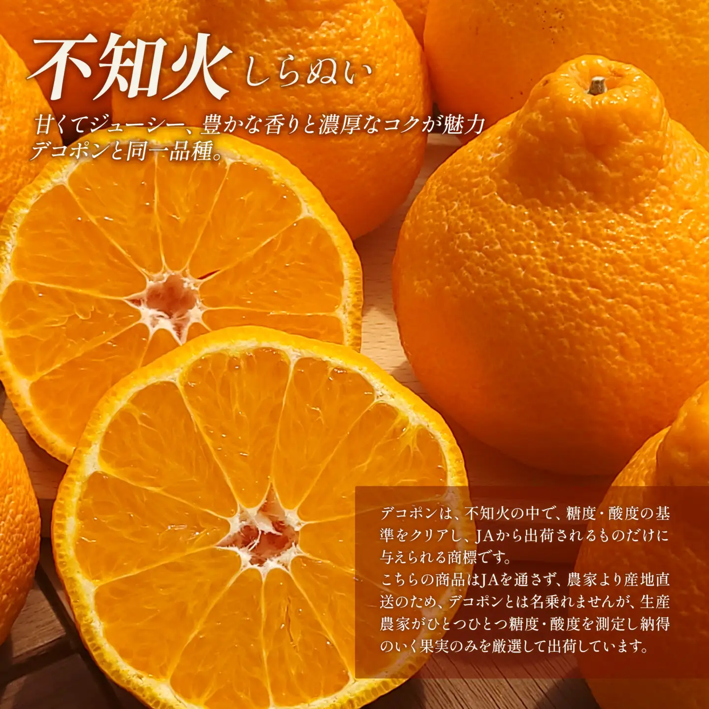 【でこぽんと同品種】 不知火 6～7玉入 デコポン 茨木農園