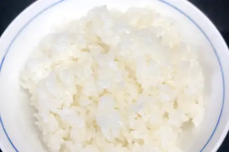 大山の一粒 無洗米 5kg【米 無洗米 5kg 5キロ こめ コメ むせんまい 先行予約 お米 白米 精米 こしひかり コシヒカリ 簡単 ごはん ライス kome 国産 お取り寄せ 鳥取県 大山町】