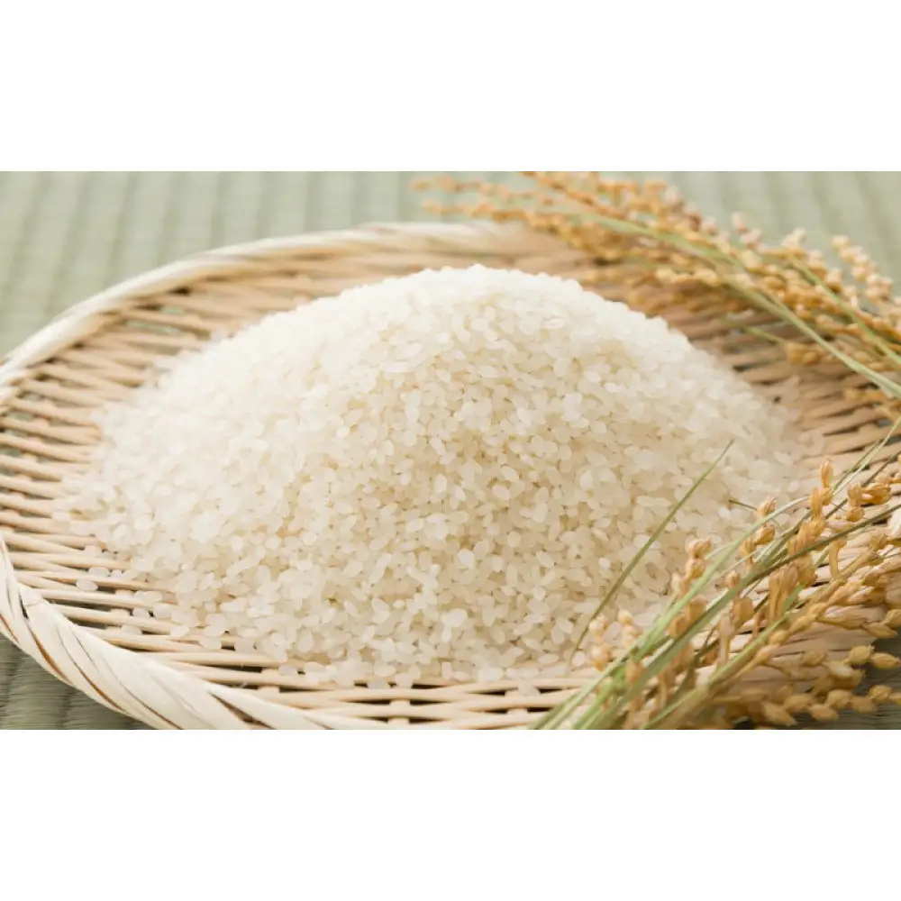 パックご飯【数量限定】JA金沢市 ほがらかごはん 20個入り 白米