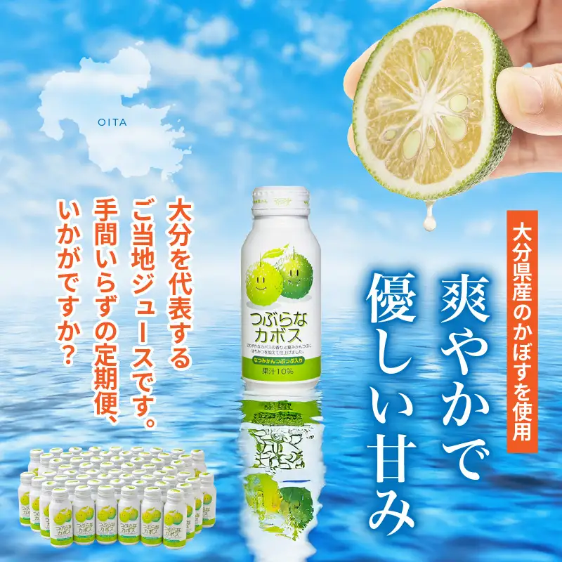 【隔月2ケース】つぶらなカボス　3回定期便_2727R-2