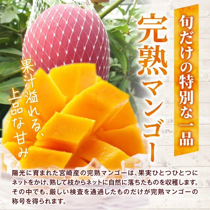 マンゴー 完熟 マンゴー[2L 2玉 350~449g/玉 JAみやざき産]