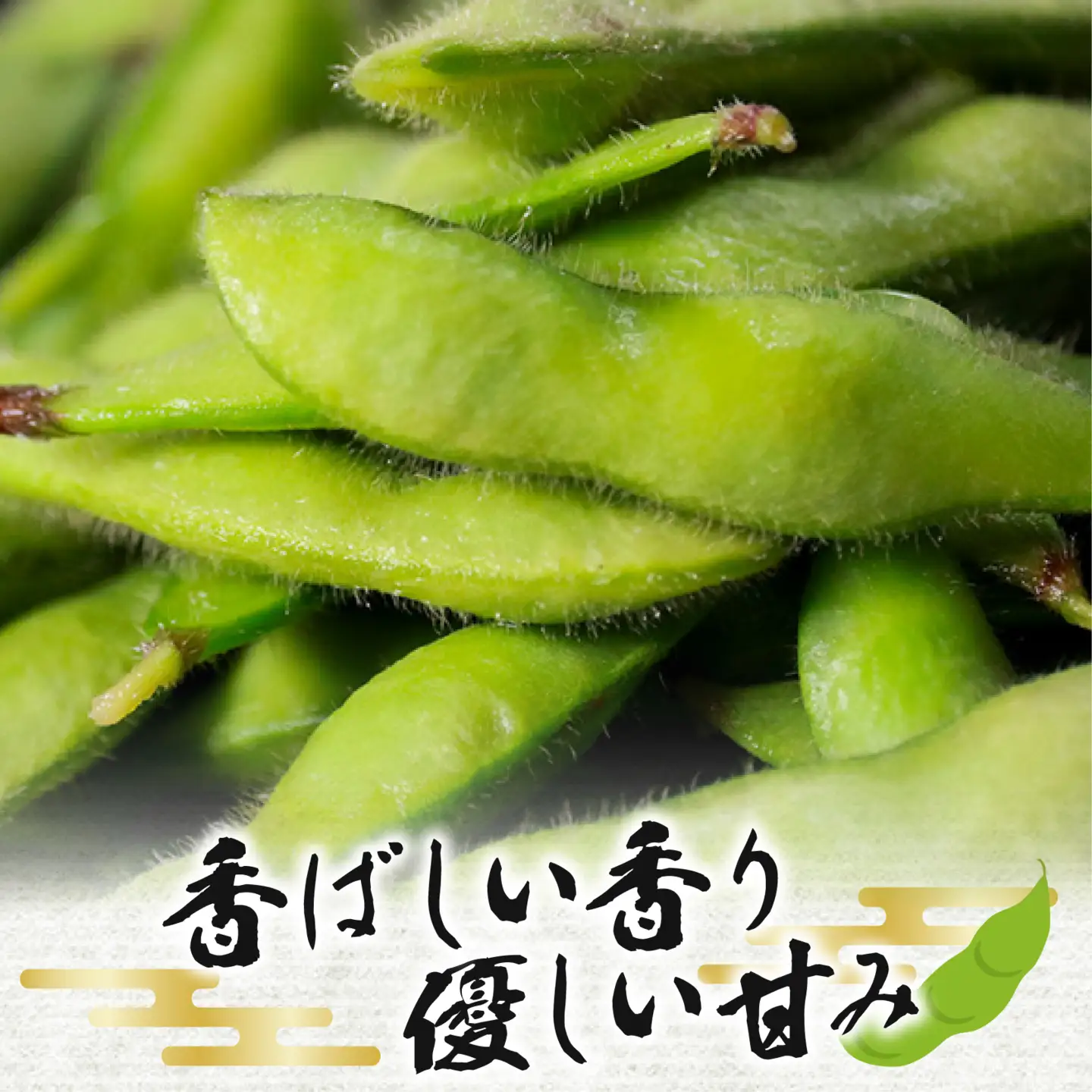 【濃厚な甘み】有機肥料 枝豆 大粒 500g 冷蔵 上田ファーム