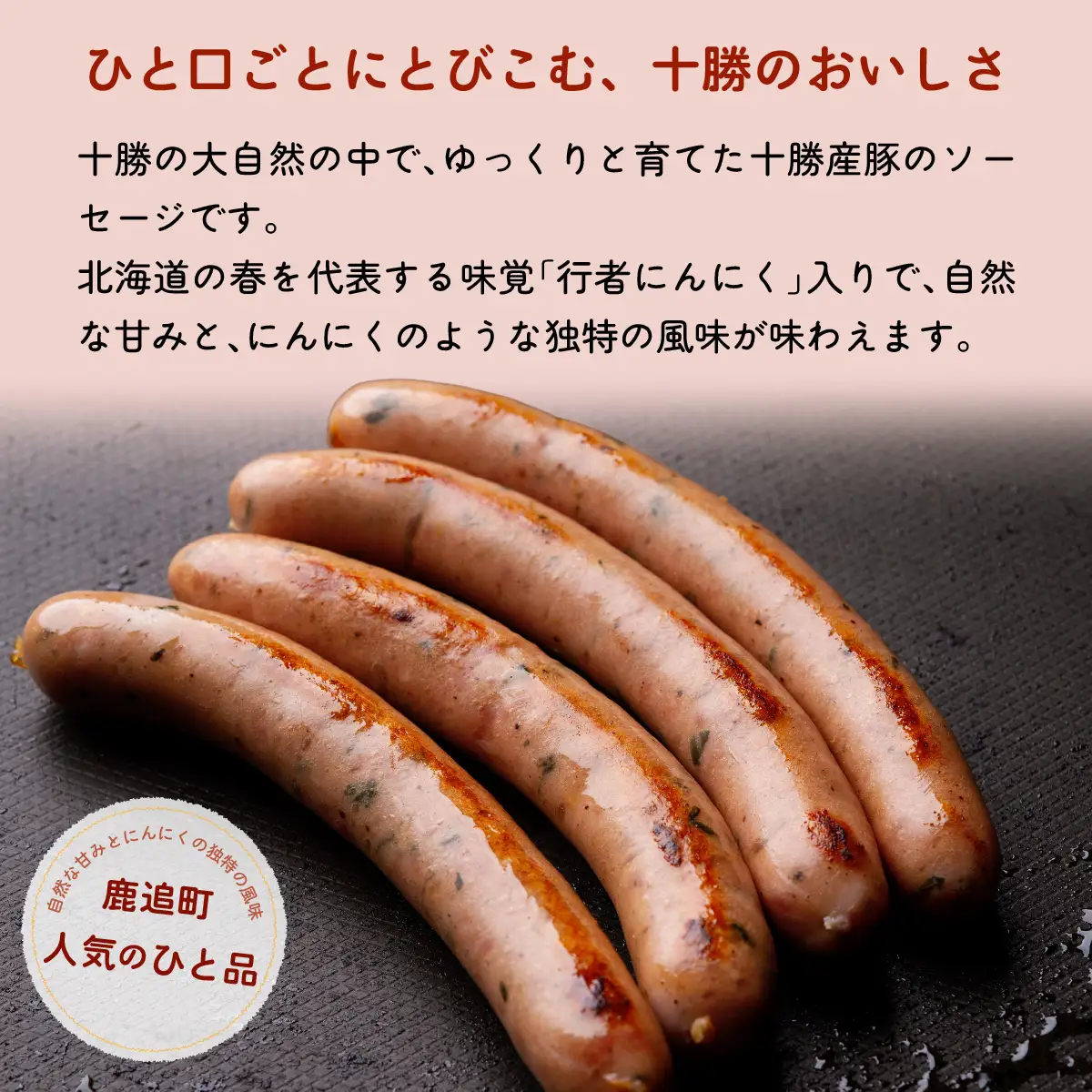 行者にんにく入りソーセージ 1.6kg（160g×10） SKD027