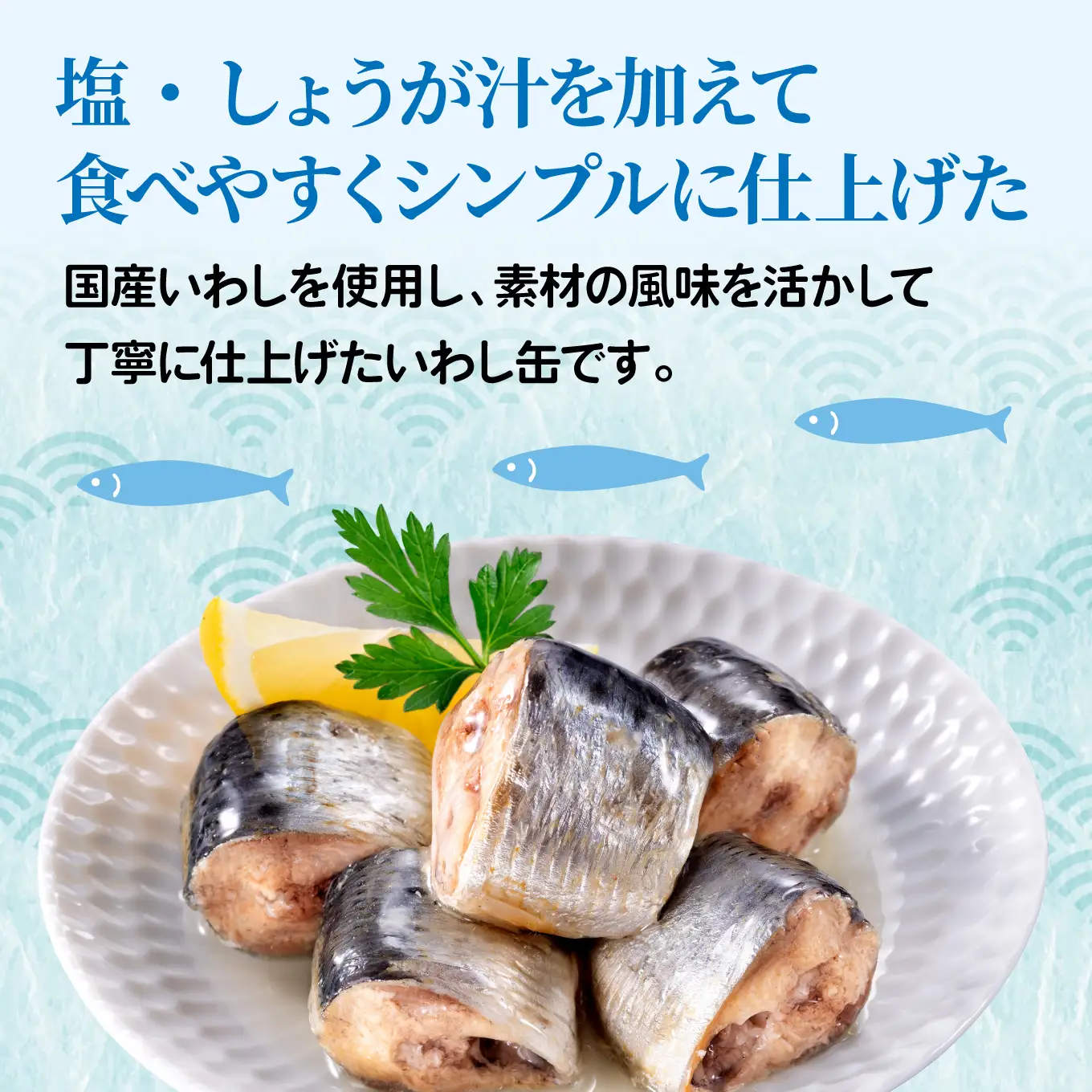 日本のいわし缶 水煮 130gx12缶　HOKO 宝幸　青森県 八戸市
