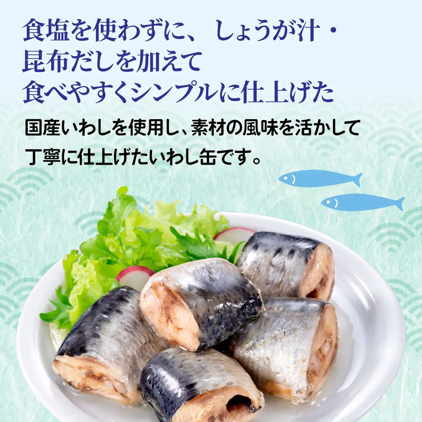 日本のいわし缶 水煮 食塩不使用 130gx12缶　HOKO 宝幸　青森県 八戸市