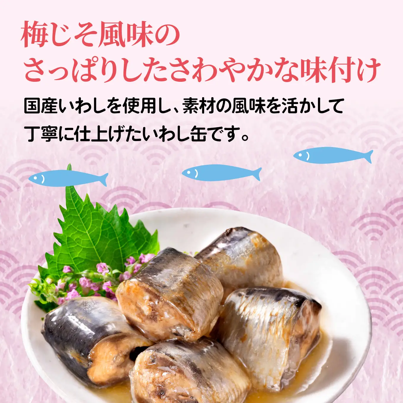 日本のいわし缶 梅じそ風味 130gx12缶　HOKO 宝幸　青森県 八戸市