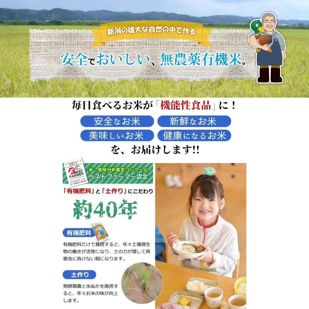 特別栽培米 コシヒカリ 玄米 10kg 新潟県産米 令和7年産 特別栽培米