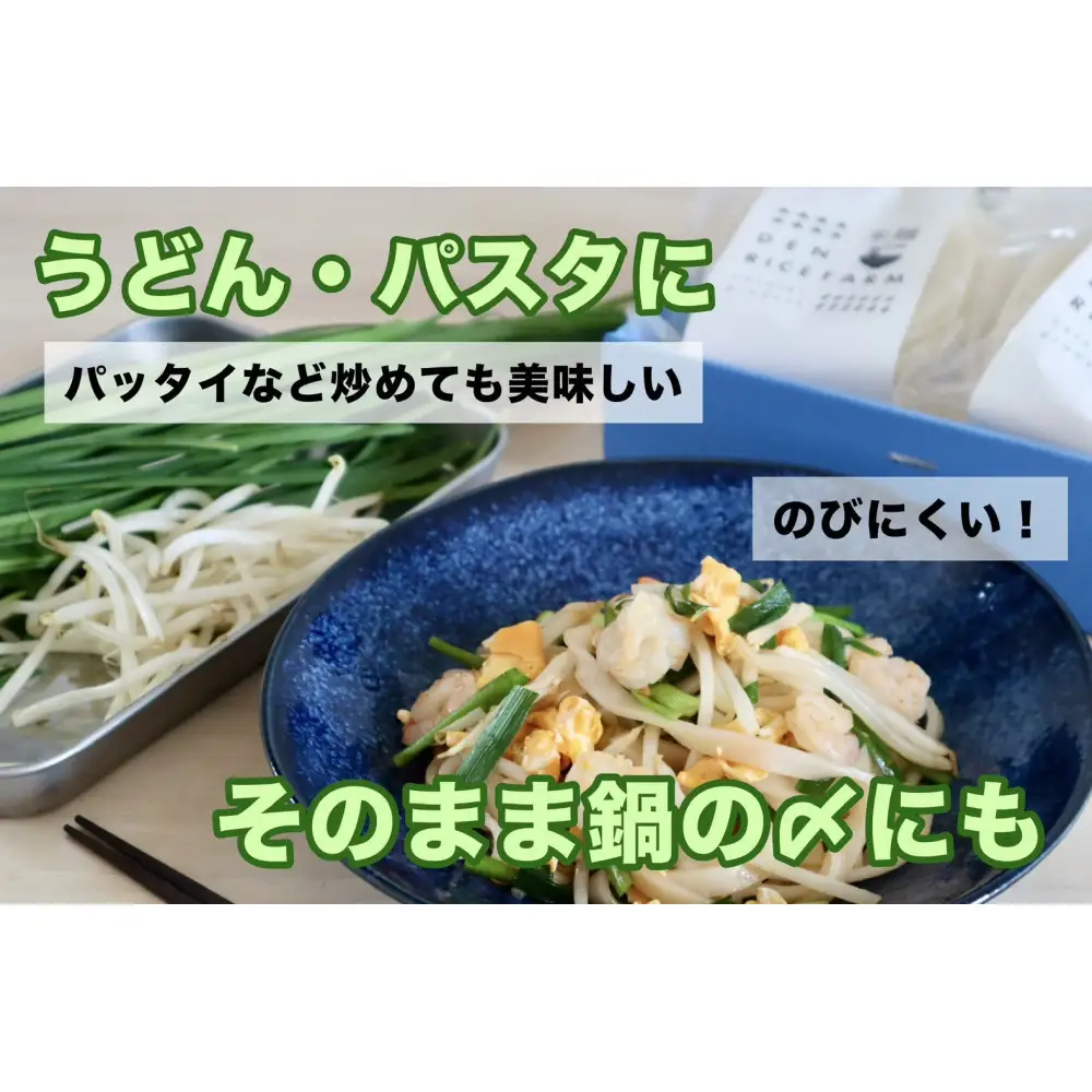 【定期便】【6ヶ月連続お届け】グルテンフリー 無添加 米麺 120g  10個セット（白米麺10個）｜米粉 うどん 焼きそば パスタ 麺