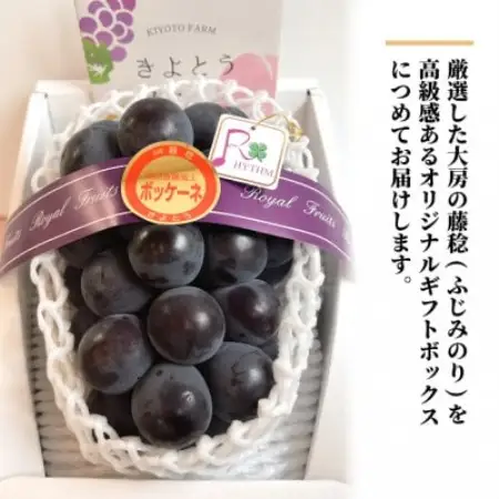 大粒葡萄の「藤稔」 大サイズ1房 厳選品 1房700g～ (岡山県産) ギフトにおすすめの人気葡萄!【配送不可地域：離島】【1721884】