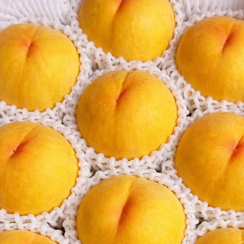 【先行受付|8月下旬頃より順次発送】岡山県産『黄金桃』　約2kg(6~8玉)【配送不可地域：離島・北海道・沖縄県】【1726917】