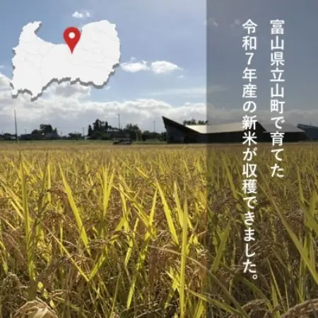 【令和7年産】玄米 ヘルジアンウッド米 30kg　富山県産コシヒカリ【1726417】