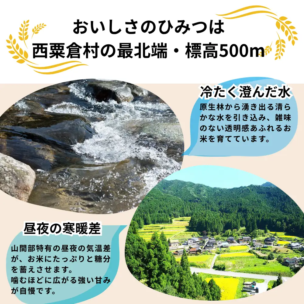 《先行予約 2026年10月発送》玄米 30kg 令和8年産 あきたこまち 岡山 「おおがや 芝桜米」 G-bd-AFZA