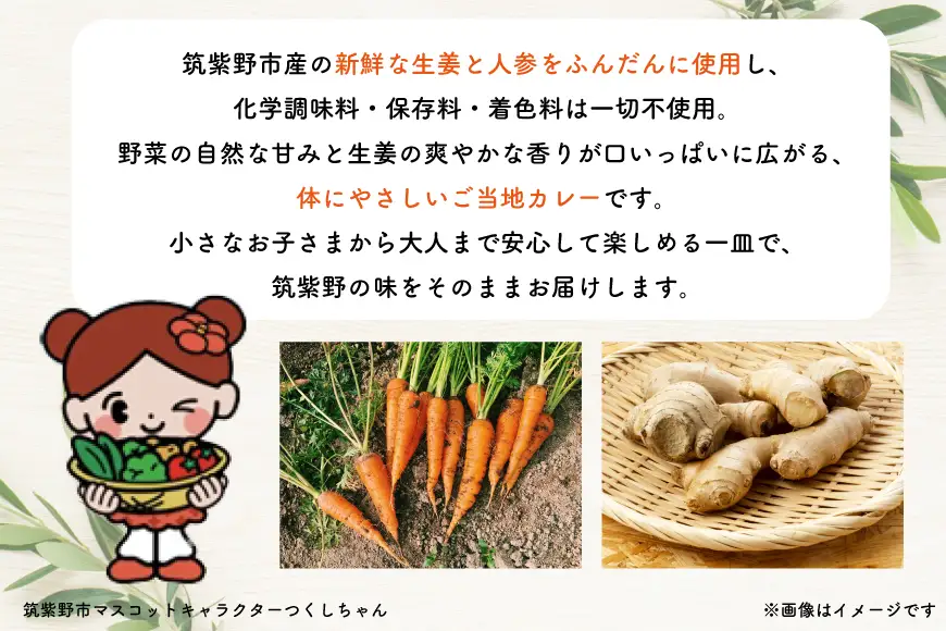 カレー レトルト つくしちゃんカレー 5袋 [エニクック 福岡県 筑紫野市 21761459]