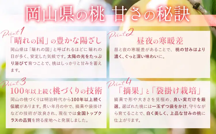  岡山の桃 約 2kg 桃 白桃 もも