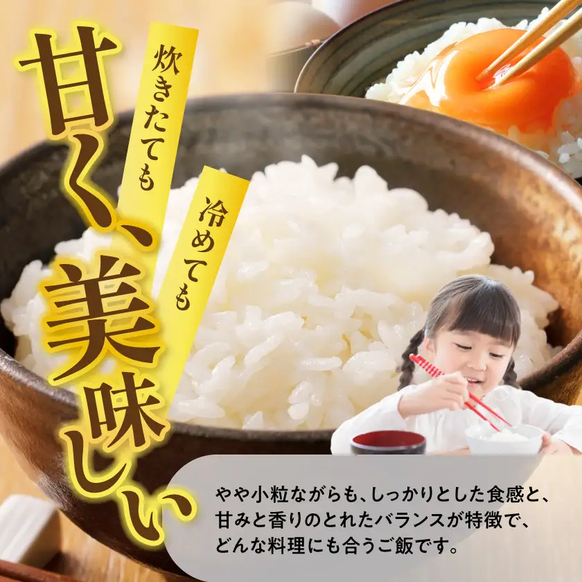 都城産ヒノヒカリ5kg×1袋〔17-01-002-5kg〕_(都城市) 白米 ひのひかり 弁当 おにぎり